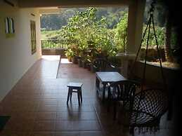 Jungle Palace Homestay