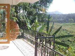 Jungle Palace Homestay