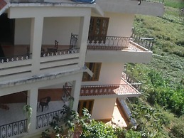 Jungle Palace Homestay