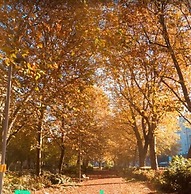 Mita Milano Rooms with Terrace