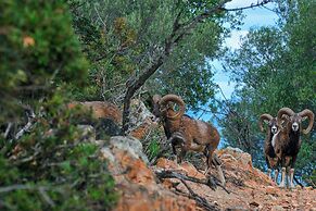 Arbatax Park Resort - Suites del Mare