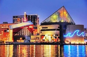 Bridgestreet at The Eden