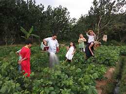 My Hoa Mekong Homestay