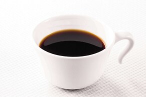 Comfort Hotel Wakayama