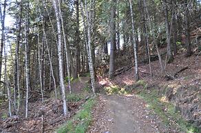 WilloBurke Boutique Inn & Nordic Spa