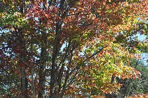 WilloBurke Boutique Inn & Nordic Spa