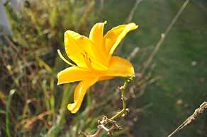 WilloBurke Boutique Inn & Nordic Spa