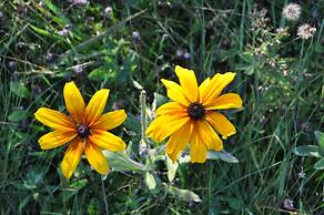 WilloBurke Boutique Inn & Nordic Spa