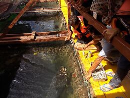 Terapung Hotel & Fish Garden