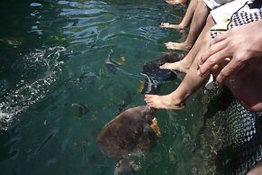 Terapung Hotel & Fish Garden