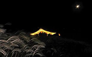 Hwaseong Guest House - Hostel