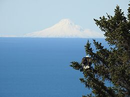 Alaska Adventure Cabins