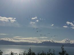 Alaska Adventure Cabins