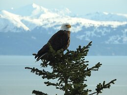 Alaska Adventure Cabins