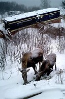 Alaska Adventure Cabins
