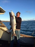 Alaska Adventure Cabins