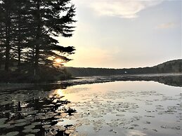 Hush Lodge & Cottages