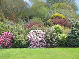 Trelawne Hotel