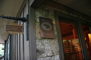 Black Bear Lodge of Sapphire