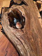 Inn at the Art Center