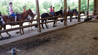 Arrowmont Stables & Cabins
