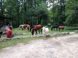 Arrowmont Stables & Cabins