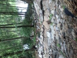 Arrowmont Stables & Cabins