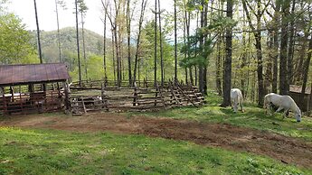 Arrowmont Stables & Cabins