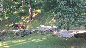 Arrowmont Stables & Cabins