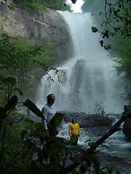 Arrowmont Stables & Cabins