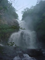 Arrowmont Stables & Cabins