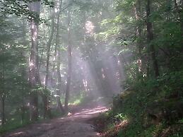 Arrowmont Stables & Cabins