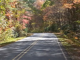 Arrowmont Stables & Cabins