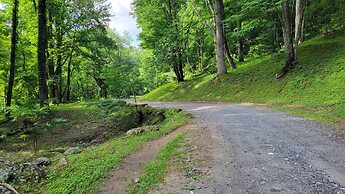 Arrowmont Stables & Cabins