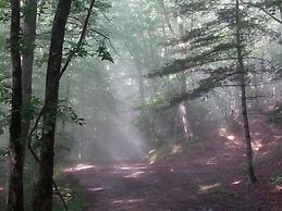 Arrowmont Stables & Cabins