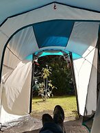 Lagarto Backpackers Hostel