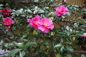 Kyo-machiya Stay WAKA Fushimiinari-tei