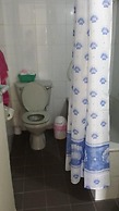 Alora Apartments