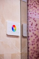 New Design St. Peter