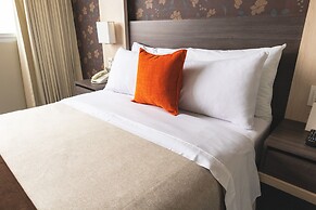 Palmetto Hotel Business San Miguel