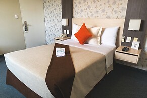 Palmetto Hotel Business San Miguel