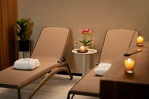 Palmetto Hotel Business San Miguel