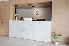 Palmetto Hotel Business San Miguel