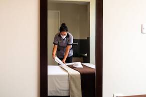 Palmetto Hotel Business San Miguel