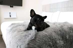 INNSiDE by Meliá New York Nomad