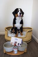 INNSiDE by Meliá New York Nomad