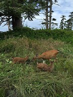 Black Rock Beach House