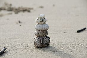 Congo Bongo EcoVillage Costa Rica