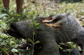 Congo Bongo EcoVillage Costa Rica