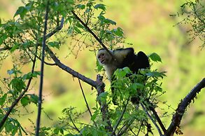 Congo Bongo EcoVillage Costa Rica